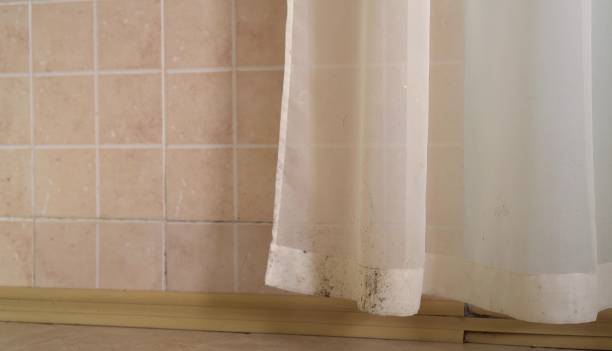 Best Mold Documentation for Insurance Claims  in Jemison, AL