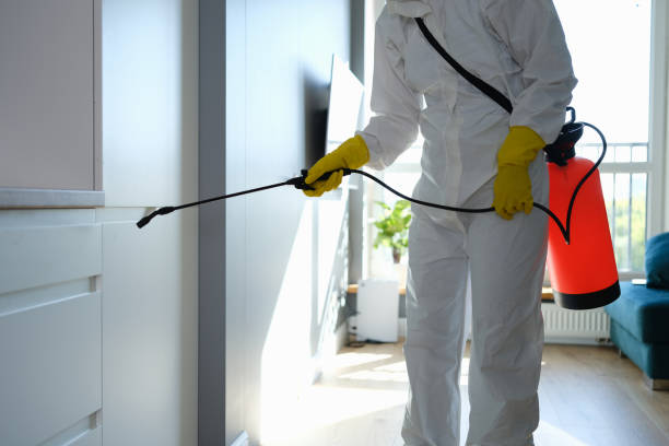 Best Air Quality Testing for Mold Spores  in Jemison, AL