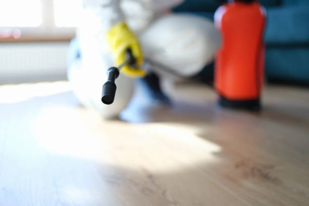 Best Mold Damage Restoration  in Jemison, AL