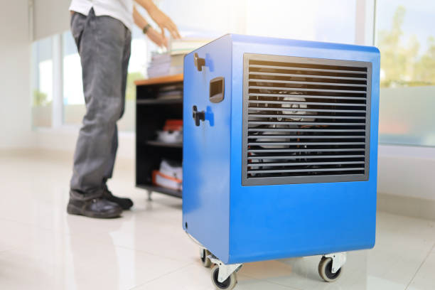 Best Environmental Consulting for Mold Prevention  in Jemison, AL