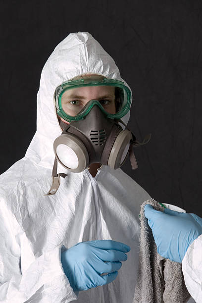 Best Post-Construction Mold Inspection  in Jemison, AL